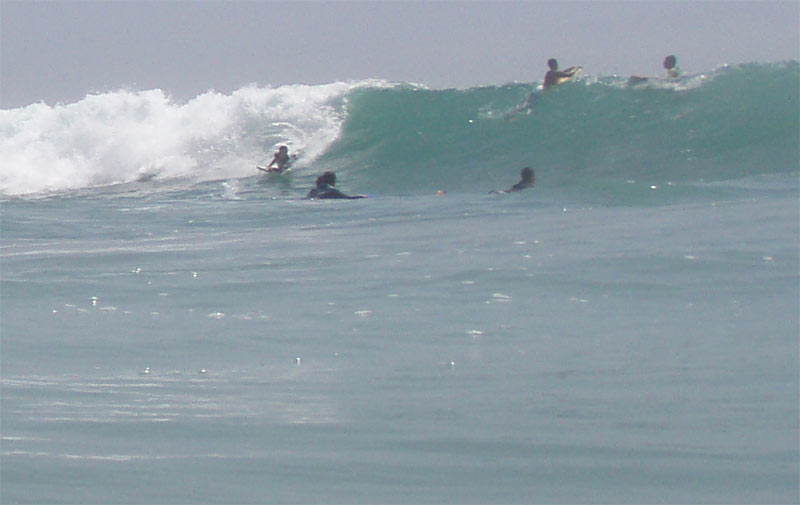 anza14