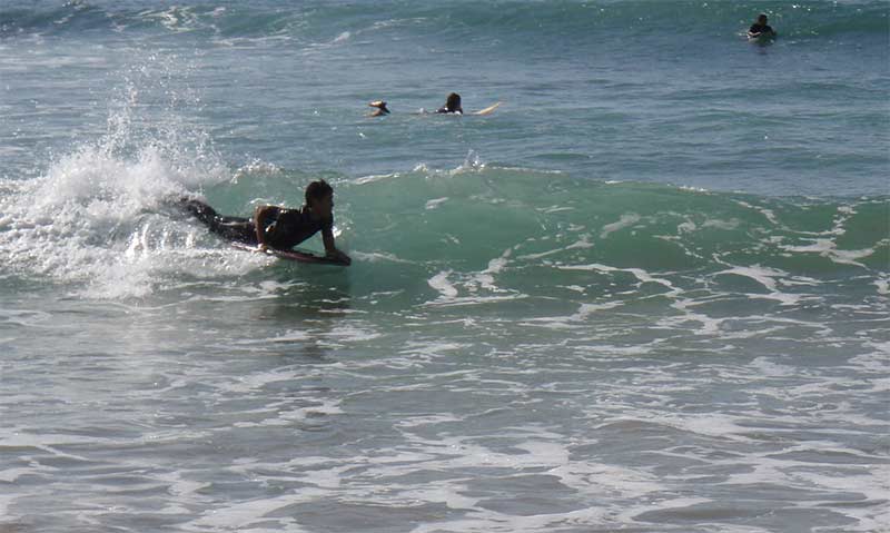 hamza2