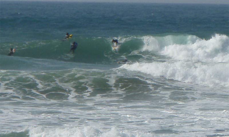 reda15