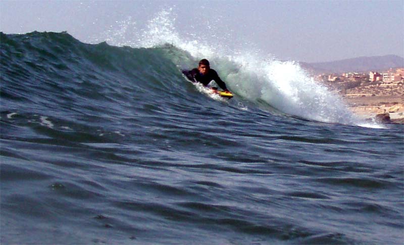 daoud1