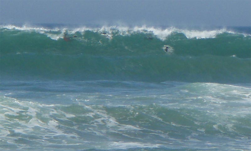 abienvenus