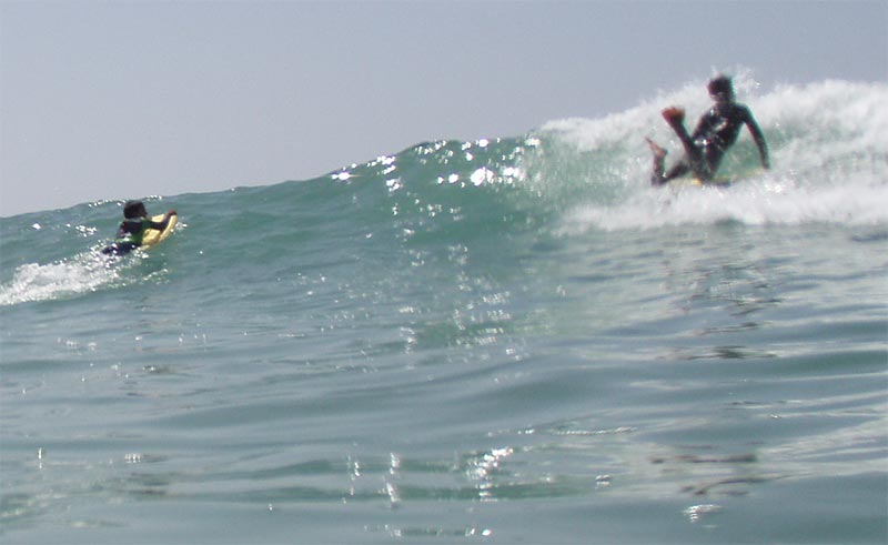 anas11