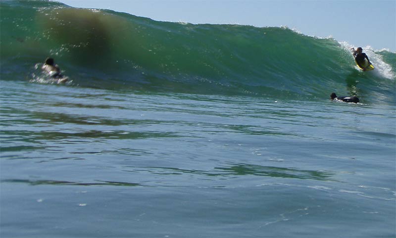 anas185