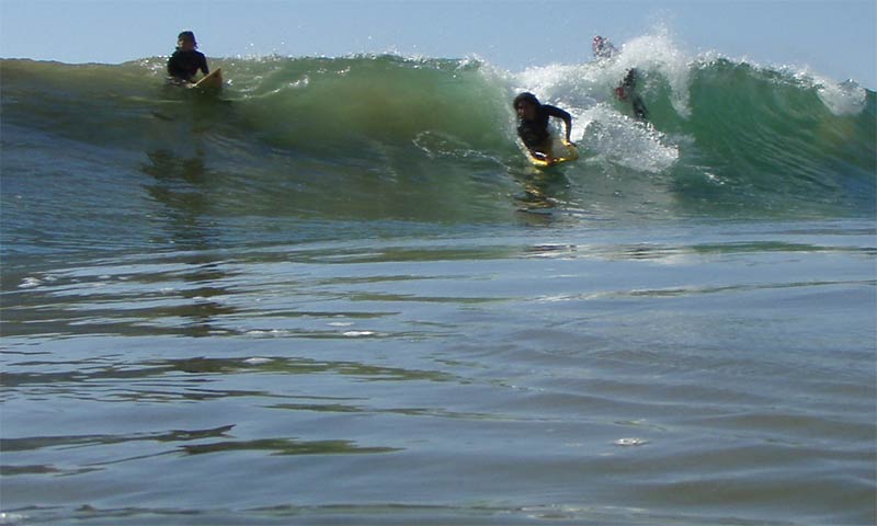 hassan182