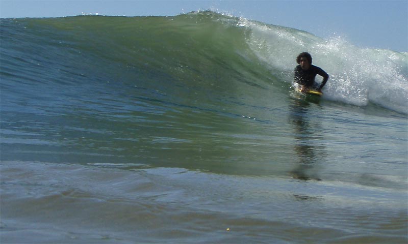 hassan183