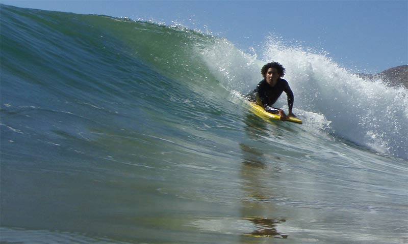 hassan184