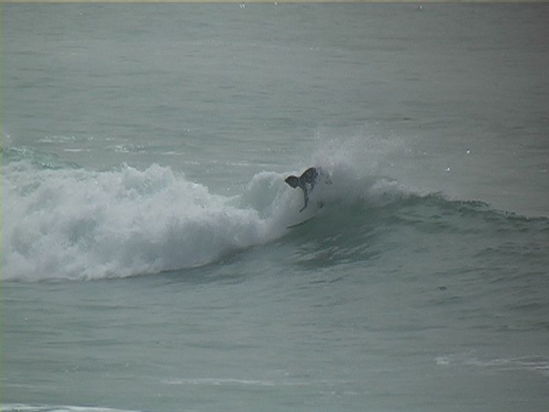 yann13 (4)