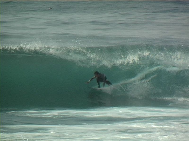 benji31