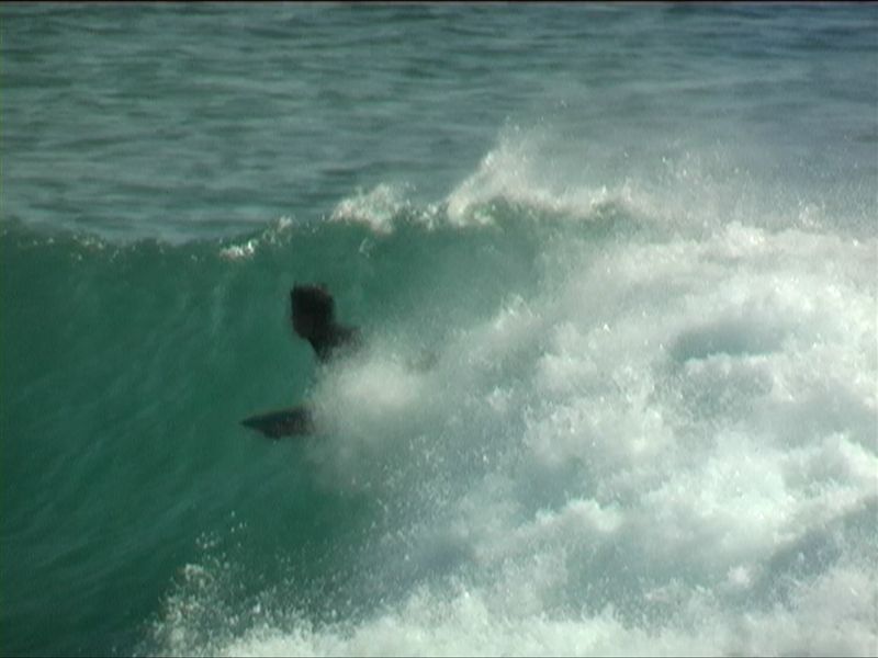 anas11