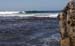 aavuespot3 (1)