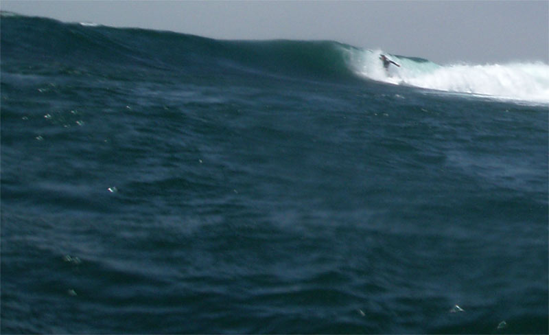arno14