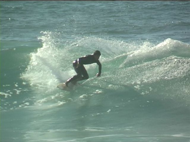 youssef (1)