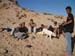 1crew (1)