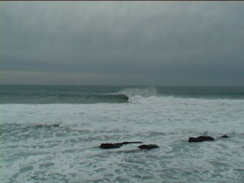 abienvenus (1)