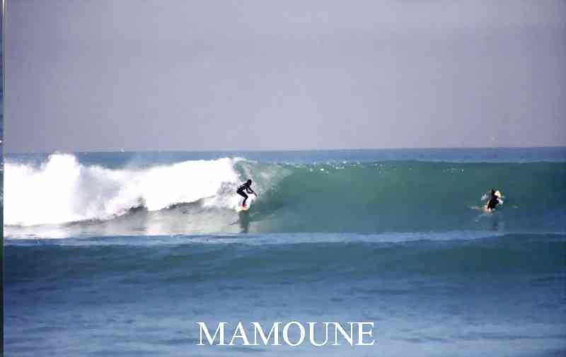 elmamouno12