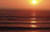 aasunset (4)