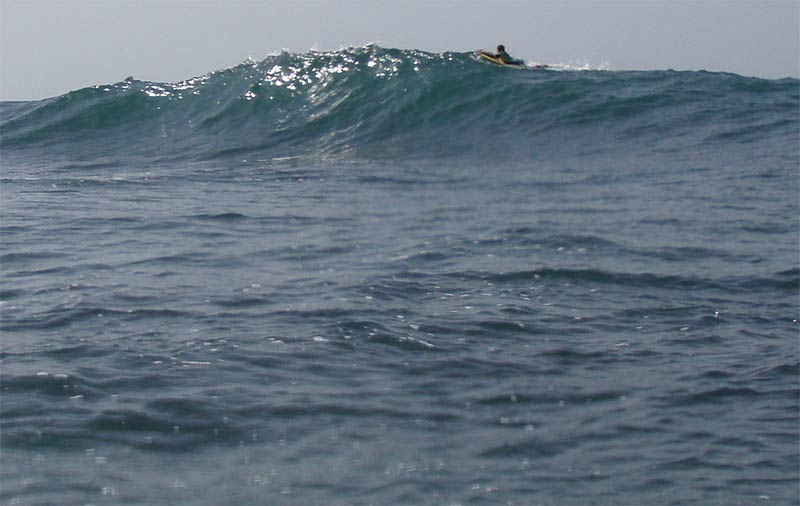 abienvenuolabo (1)