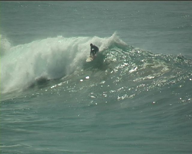 alex14 (2)