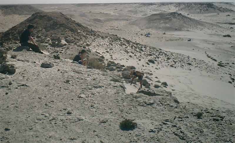 j2xviewdune (7)
