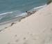 j2xviewdune (10)