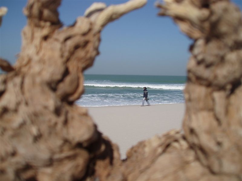 j4plage (3)