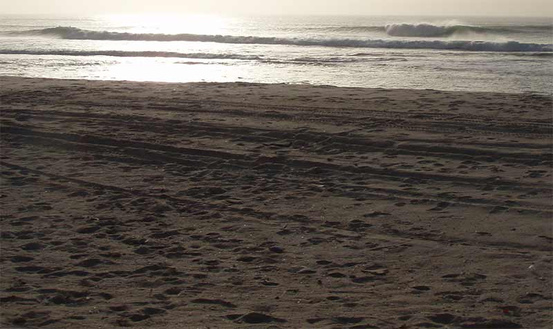 j5xviewspotsnonsurfes