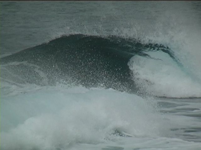 pic1 (3)