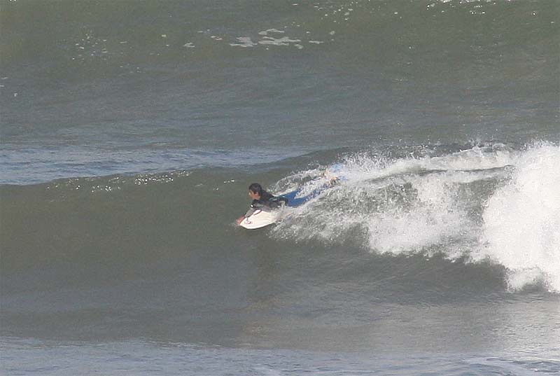 sammy (7)