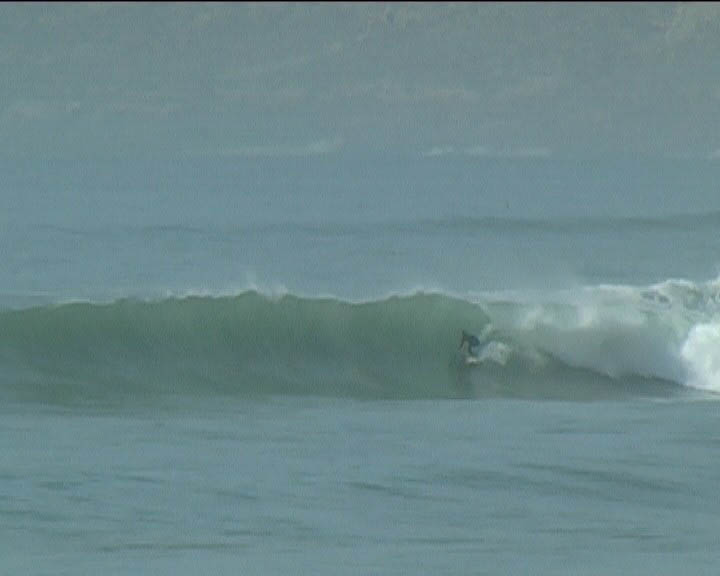 lepalmarn1