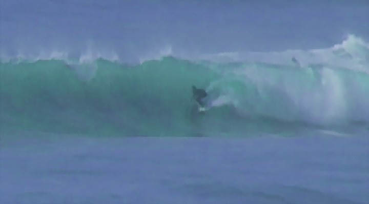 lepalmarn12