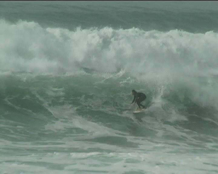 lepalmarn2