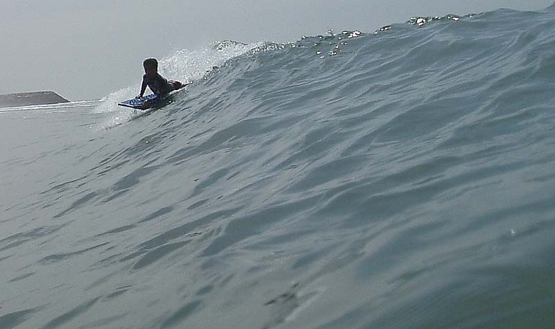 anas2