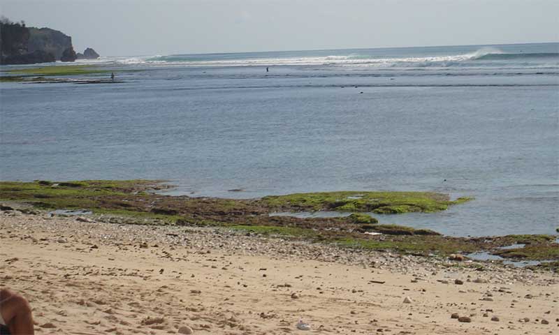 mamounebali100