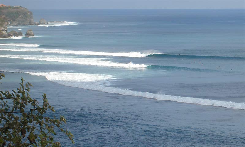 mamounebali102