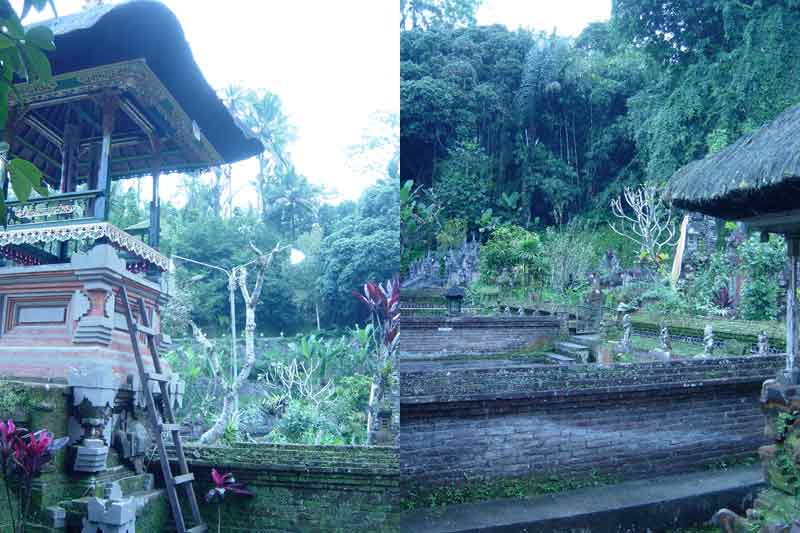 mamounebali103