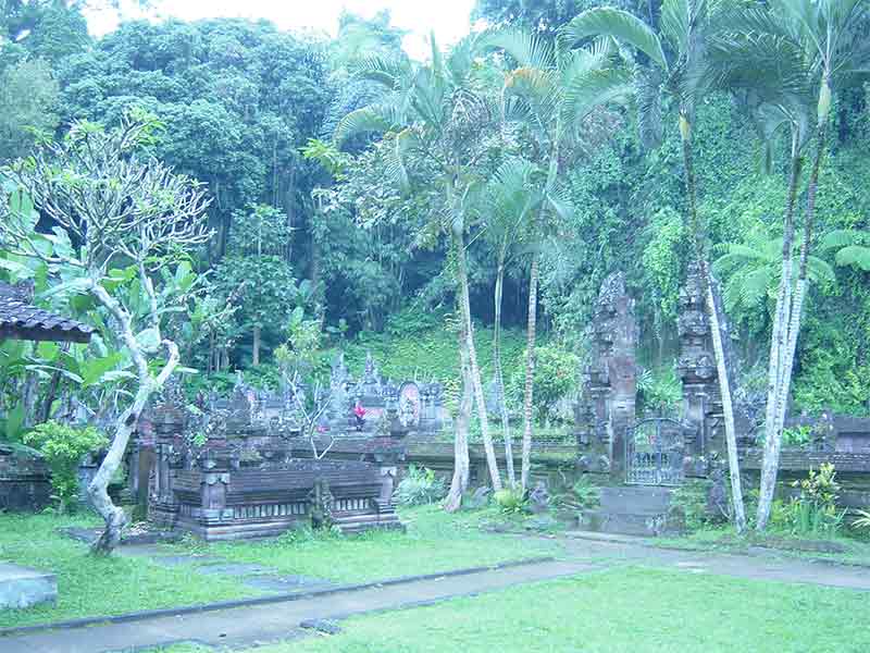 mamounebali105