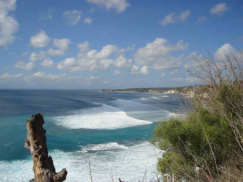 mamounebali11