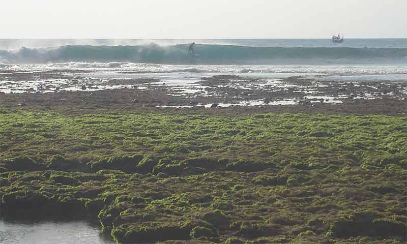 mamounebali12