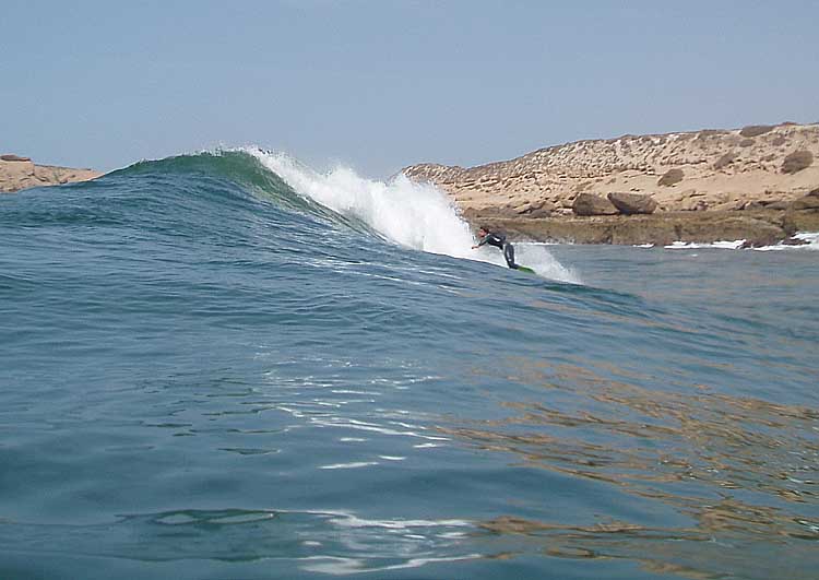 111catarno3