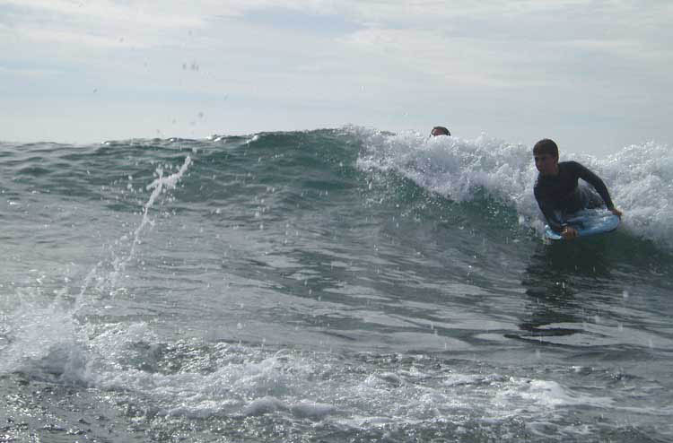 fuca1