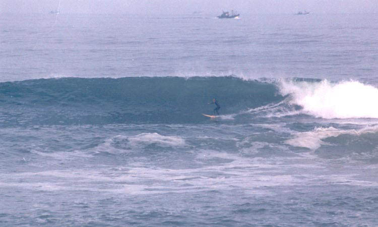 sud04yo1
