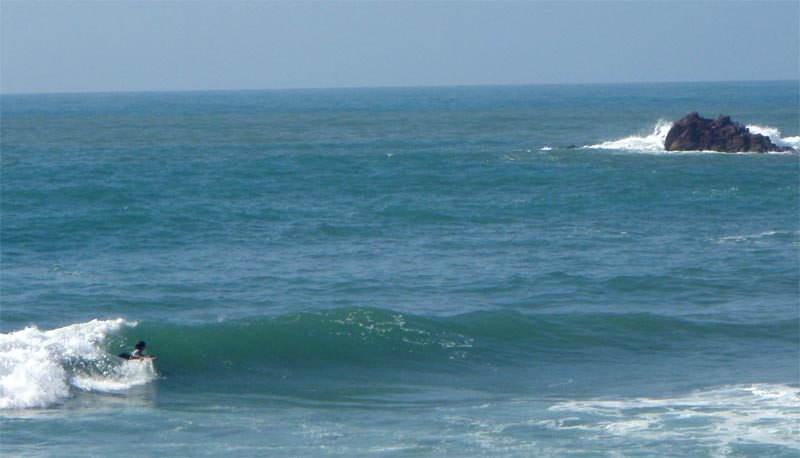 lili318