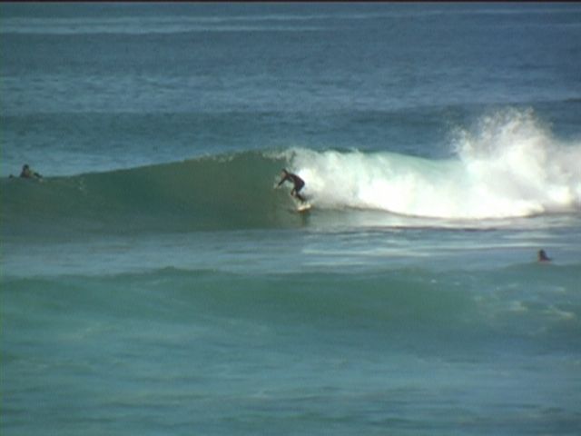 alex1
