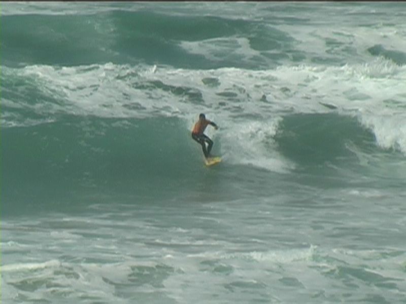 aquatiques (1)