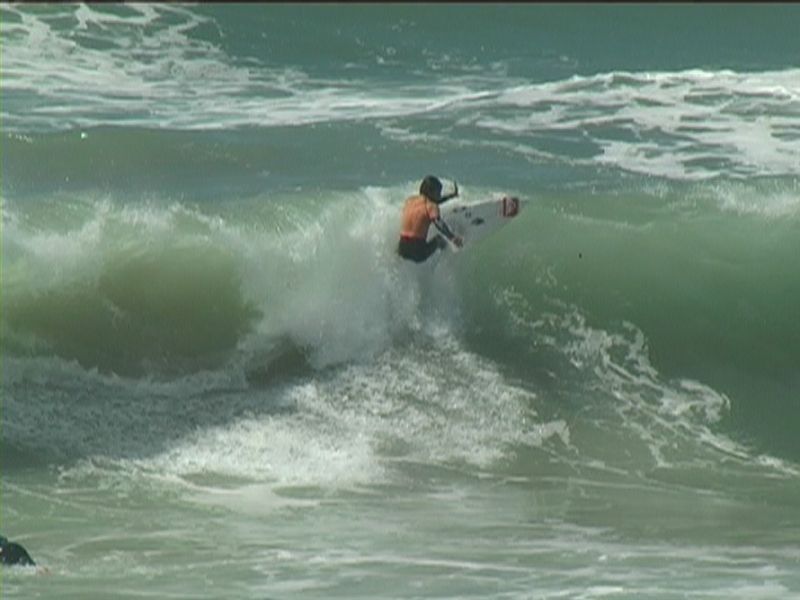 aquatiques (12)