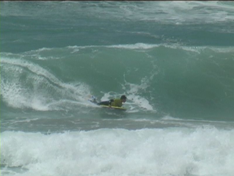 aquatiques (13)