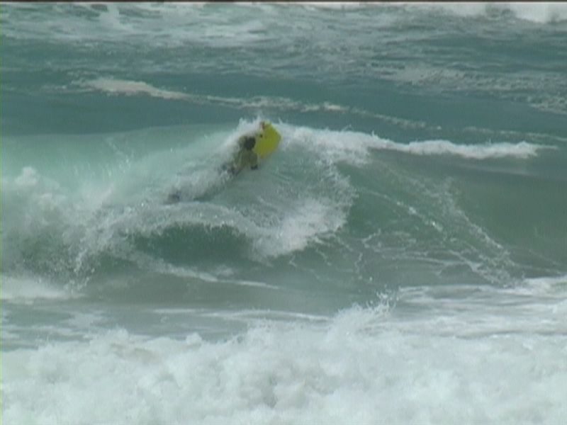 aquatiques (14)