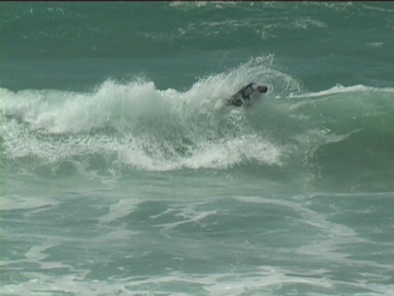 aquatiques (15)