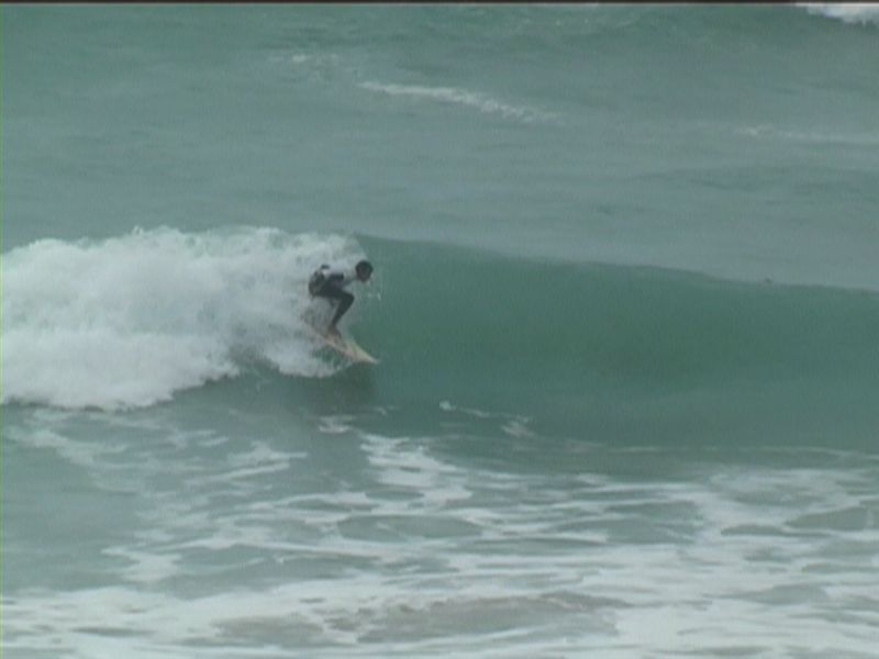 aquatiques (16)
