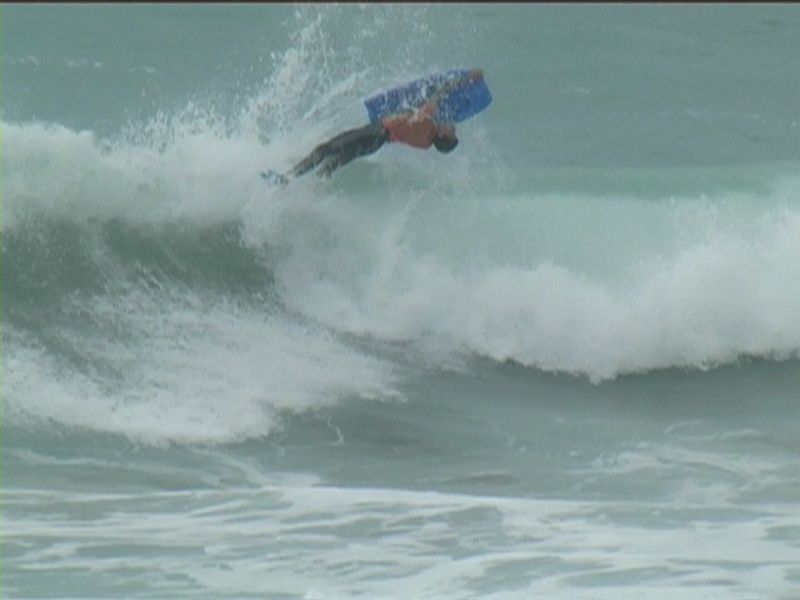 aquatiques (17)